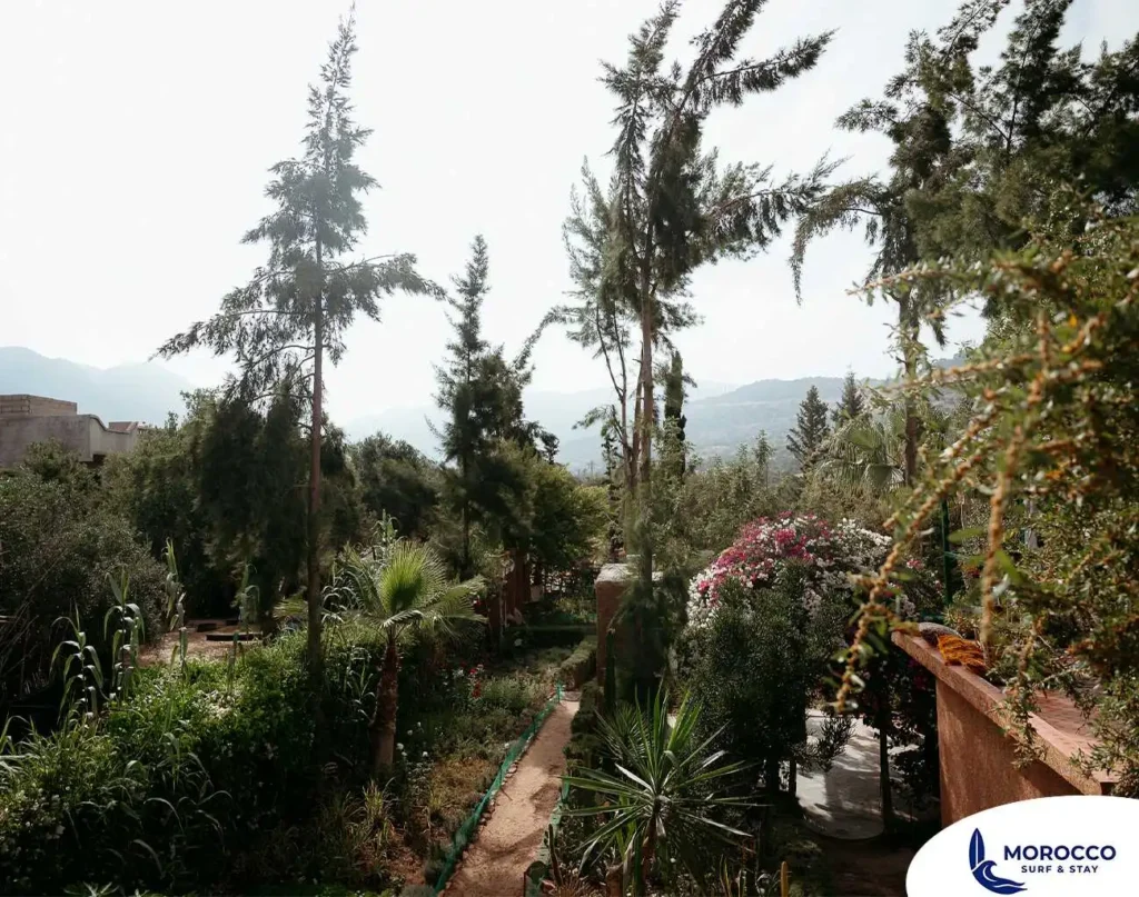 A wide-angle photo showing a lush green garden with a narrow dirt path winding through it. Tall trees and various plants frame the path, with distant mountains visible under a bright sky.