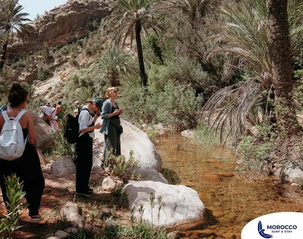 A group of hikers, including a woman with a white backpack and another woman with sunglasses, stands by a clear stream in Morocco's Paradise Valley. They are surrounded by lush palm trees and arid, rocky hillsides, suggesting a pause during a hike. The scene captures the experience of exploring this natural oasis.