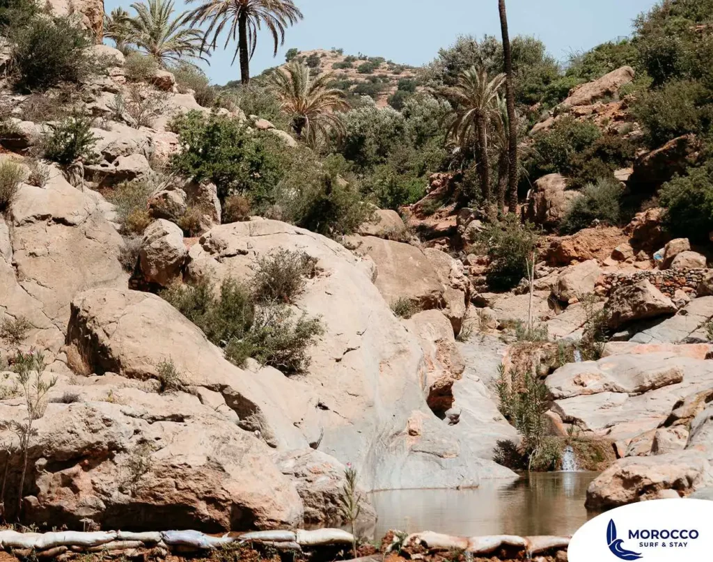 A serene natural pool with clear, calm water is nestled among large, sun-bleached rocks in Paradise Valley, Morocco. The pool is fed by a small waterfall on the right, and the surrounding area is a lush mix of green bushes and tall palm trees, creating a tranquil oasis in the rocky landscape.