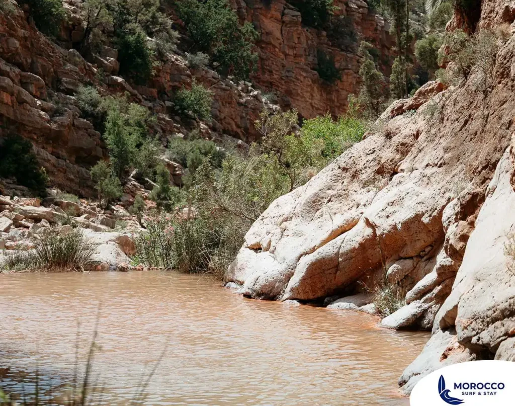 A serene natural rock pool with reddish-brown water is nestled between two large, weathered cliffs in Paradise Valley, Morocco. The banks of the pool are lined with a mix of green shrubs and rocky terrain, with a dense growth of trees visible on the cliffside in the background, creating a tranquil hidden spot within the valley.