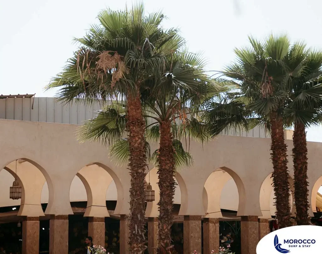 A photograph capturing the traditional architecture of Souk El Had in Agadir. Three tall palm trees with full green fronds stand in the foreground, set against a light-colored building featuring a series of elegant arched walkways supported by distinctive columns. Hanging lanterns are visible under the arches, adding to the cultural and calming atmosphere of the bustling marketplace.