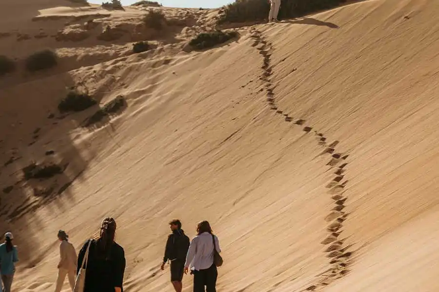 How to Choose the Best Surf Camp in Morocco?