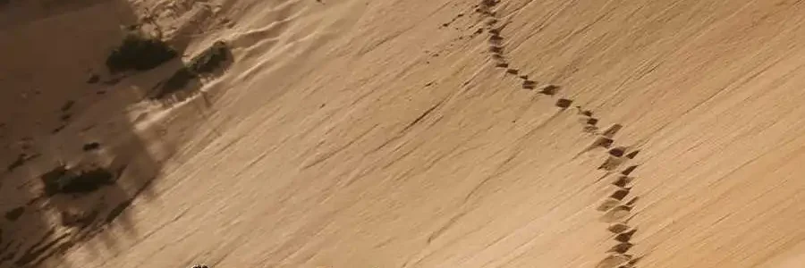 A group of people is walking up a steep, sandy hill or dune. In the foreground, two people are walking side-by-side, seen from behind. One person with dark hair is in a black top, and another in a light blue shirt. Further up the hill, a trail of footprints snakes up the slope, with a few other figures visible, and a person standing at the very top. The sky is clear, and the sand is a soft, light brown color.