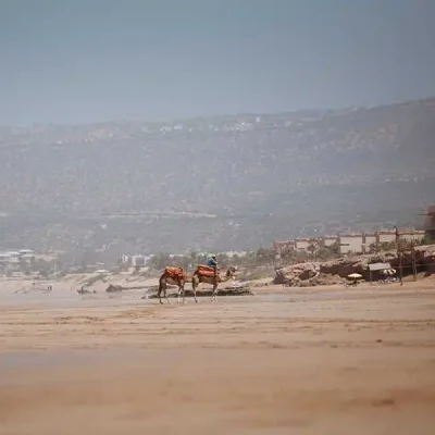 Guide to Tamraght Morocco: The Authentic Heart of Taghazout Bay
