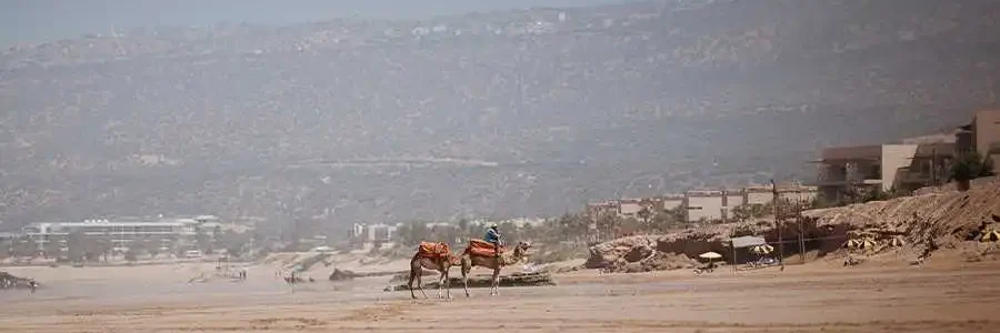Two camels with colorful saddles, one with a rider, walk along a wide, wet beach in Tamraght, Morocco. In the background, modern buildings sit at the base of a vast, hazy mountain range. The scene captures a peaceful moment on the coast, blending a traditional camel ride with the striking natural landscape.